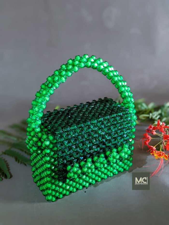 Astu Passport Pic (26)